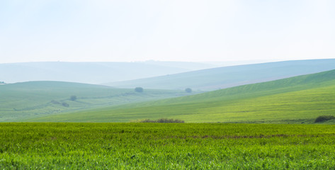 Fototapeta na wymiar Green foothills in the grass, panoramic view