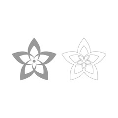Naklejka premium Flower the grey set icon .