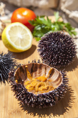 Fresh Sea Urchin served with mediterranean lemon, tomatoes, garlic, parsley, on wooden plate in stone house exterior, space for text