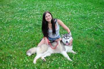 Naklejka na ściany i meble Beautiful young woman playing with funny husky dog outdoors at park
