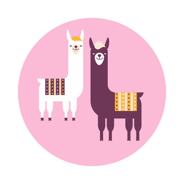 Vector illustration ethnic sticker or label of South America with lamas. Flat design style.