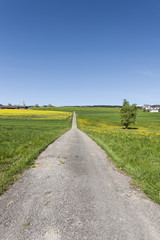 Asphalt road between  meadows  in Switzerland