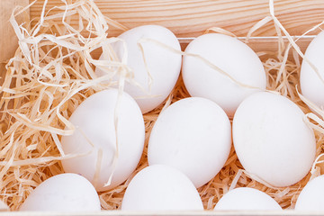 white chicken eggs