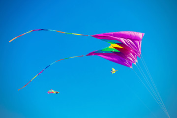Purple kite flies in the blue sky