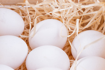 white chicken eggs