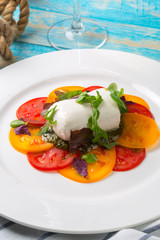 Colourful slices of cheese and tomato