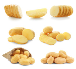 Collage of raw potatoes on white background