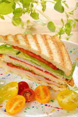 Fresh sandwiches on wooden background