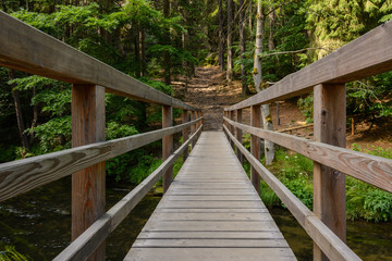 Fototapeta na wymiar Wooden bridge over the river in the forest, Bohemian Switzerland National Park, Czech Republic