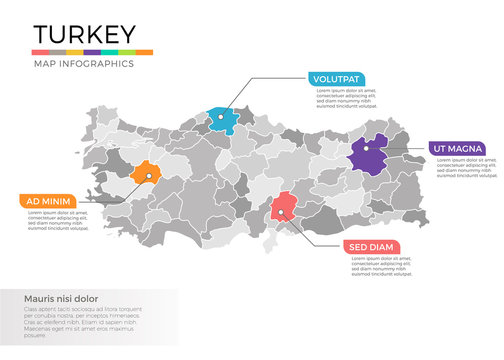 Turkey map infographics vector template with regions and pointer marks