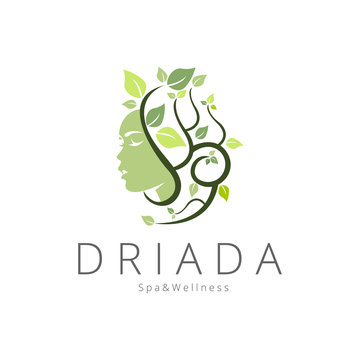 Driada logo. Beauty logotype 