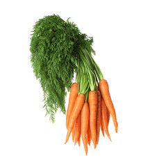 Fresh carrots with green leaves on white background
