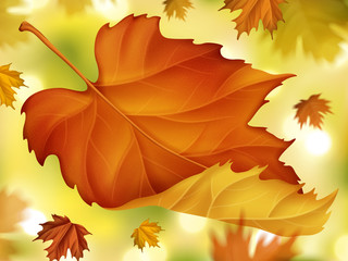 Naklejka na ściany i meble Elegant fall foliage background