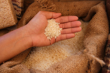 rice in woman hand with sack background