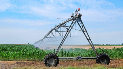 Sprinkler irrigation system on agriculture field
