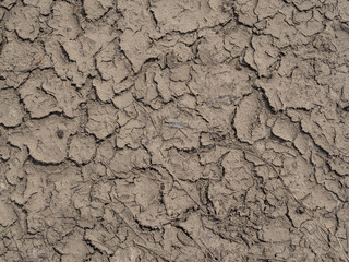 Wassermangel im Boden Dürre