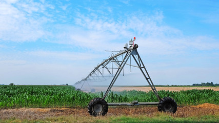 Sprinkler irrigation system on agriculture field
