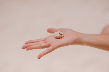 Little cute crab on the girl's hand