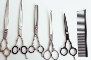 close-up view of various scissors and comb for dog grooming isolated on white