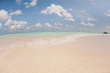 Fototapeta na wymiar Beautiful white beach with palm trees in the Maldives