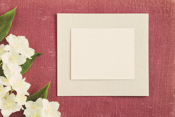 White jasmine with blank greeting card. Fresh, fragrant flowers.