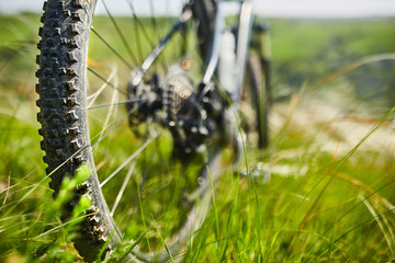 Fototapeta premium Close-up of detail of the mountain bicycle on the green grass.