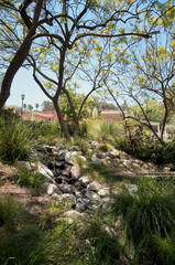 garden with pond in asian style