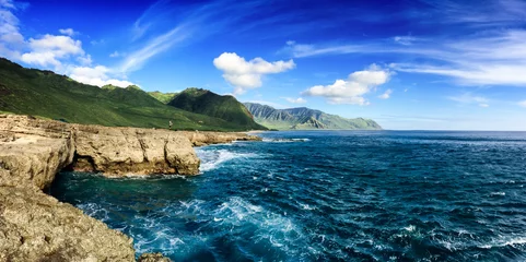 Fototapeten The beautiful Kaena Point and Yokohama coast on the northwest coast of Oahu, Hawaii © Allen.G