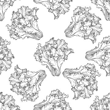 Seamless pattern with green salad. Contour vector illustration on white background. Food background.