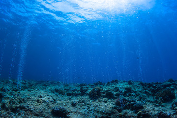 Fototapeta na wymiar Rising Bubbles from Reef - Deep Depth