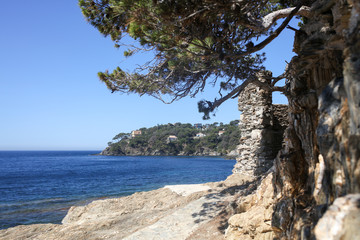 la cote d'azur