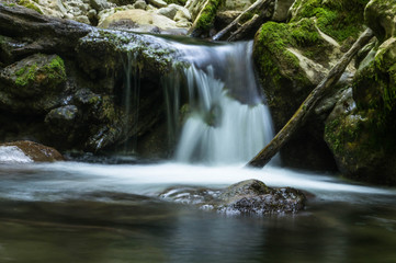 Cascade falls over mossy rocks