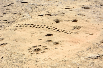 Ancient petroglyphs depicting boat with oars on a rock outcrop in Jebel Jassassiyeh in Northern Qatar.