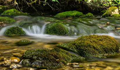 Cascade falls over mossy rocks