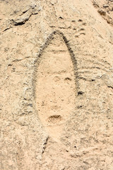 Ancient petroglyph depicting fish in Jebel Jassassiyeh in Northern Qatar.