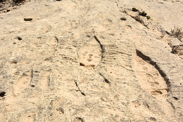Rock outcrop with ancient petroglyphs depicting fish and boats in Jebel Jassassiyeh in Northern Qatar.