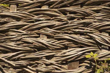 Old wicker fence of twigs