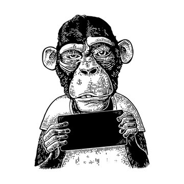 Monkeys holding table. Vintage black engraving illustration for poster