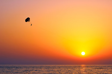 parasailing during sunset on the sea