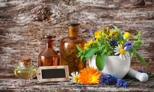 Herbal medicine. Medicinal plants