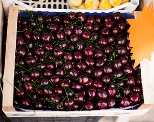 Fresh organic Cherry  fruits. Frame composition of fruits on market stall close up.