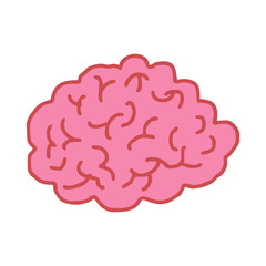 Brain drawing isolated. Brains bends on white background