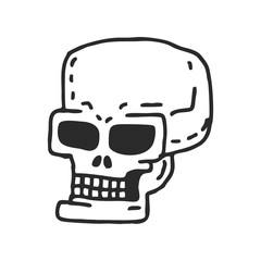 Skull cartoon. Skeleton head drawing on white background