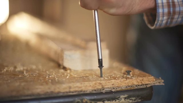 The master spins a screw into a tree with a screwdriver