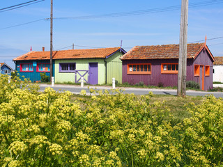 Cabanes colorées de la Baudissière, ile d'Oléron