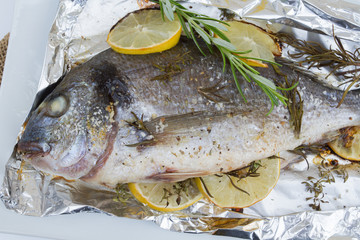 dorade