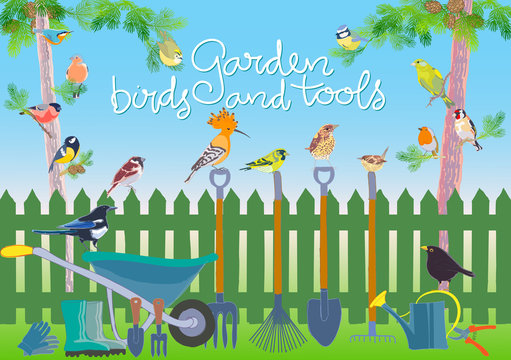 Garden birds and tools set. Hand made vector illustration