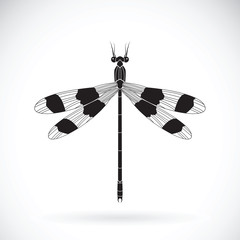 Vector of a dragonflies (Orolestes octomaculatus)  on white background. Insect Animal