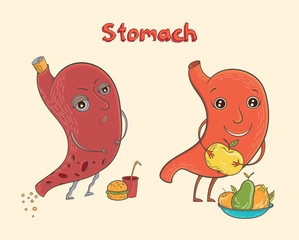 Cartoon human stomach character