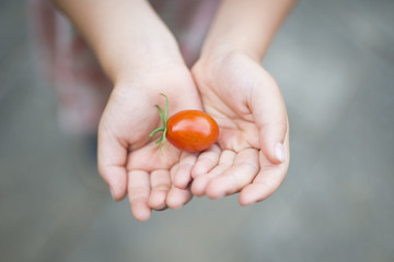 Child with a small tomato